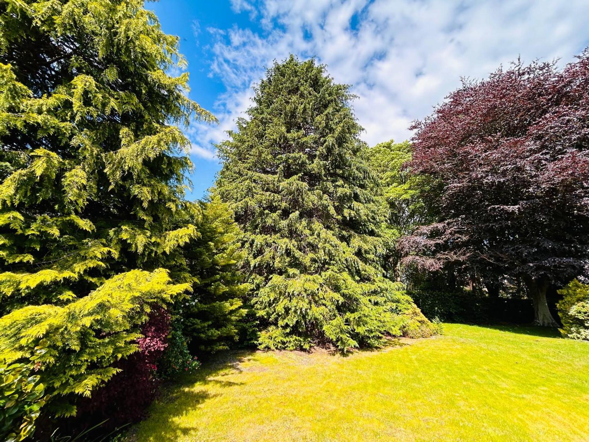 Longbank Luxury Lets Villa Ayr Dış mekan fotoğraf